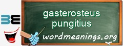 WordMeaning blackboard for gasterosteus pungitius